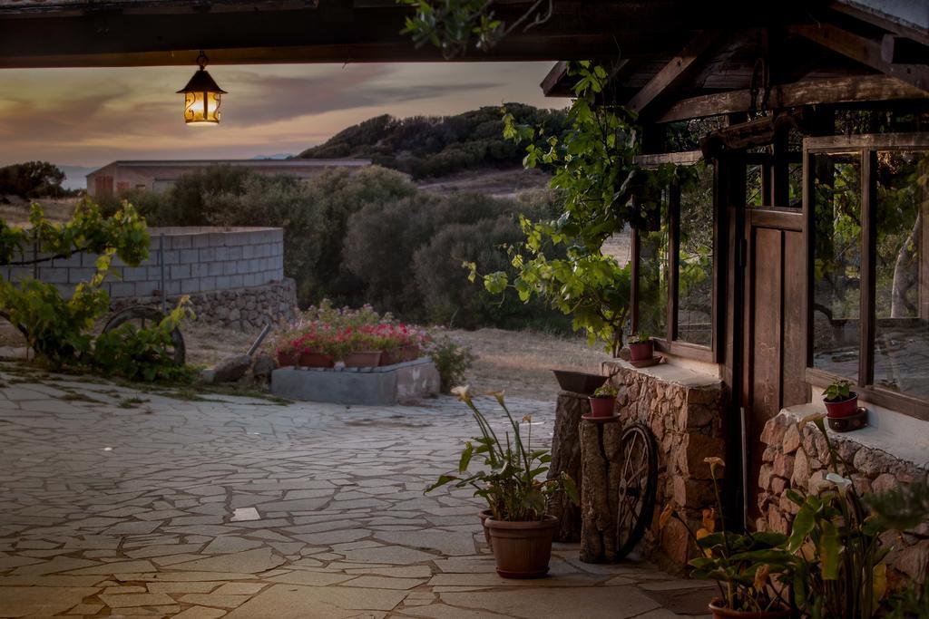 Nuraghe Tuttusoni Farm stay Aglientu