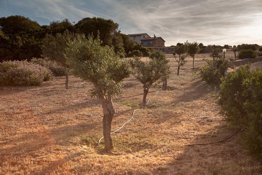 Farm stay Nuraghe Tuttusoni